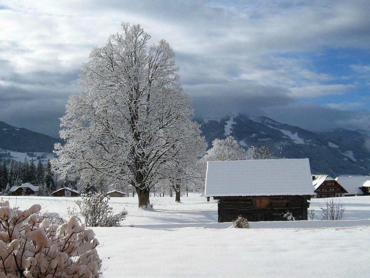 Blockhaus Royer Daire Ramsau am Dachstein Dış mekan fotoğraf