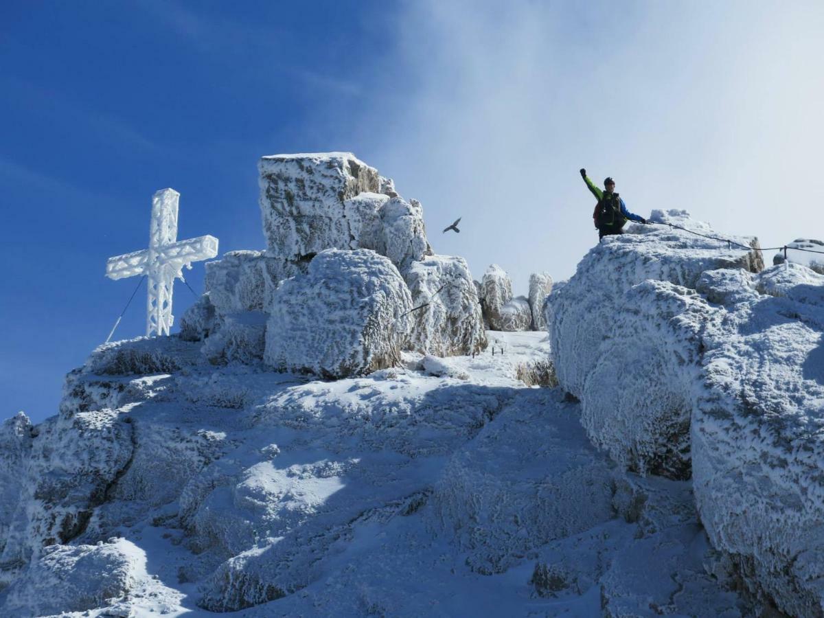 Blockhaus Royer Daire Ramsau am Dachstein Dış mekan fotoğraf